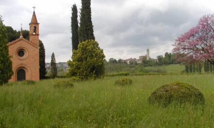 Storia di Libero, il ragazzo che amava la libertà ma non era felice