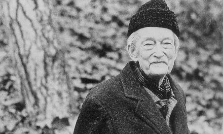 Ma chi ci salverà dai progressisti?