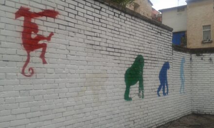 A scuola con le scimmie