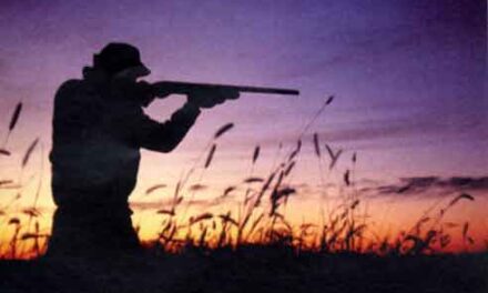 Diritti degli animali? No, grazie