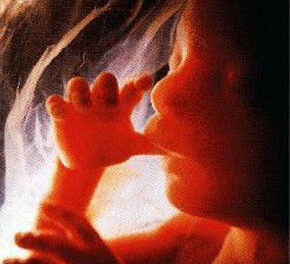 Le femministe fanno “censurare” la 9 ore di preghiera contro l’aborto