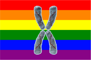 gaychrom