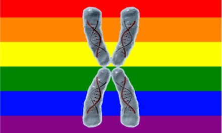 L’omosessualità è innata?