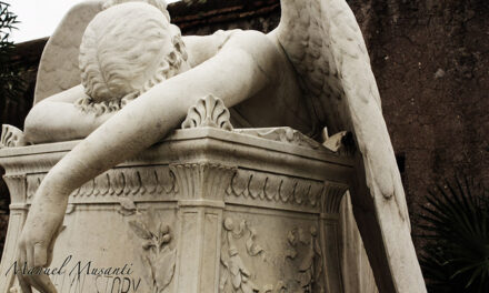 Lettera al quotidiano Il Tirreno in merito all’articolo «Il campo dei feti»