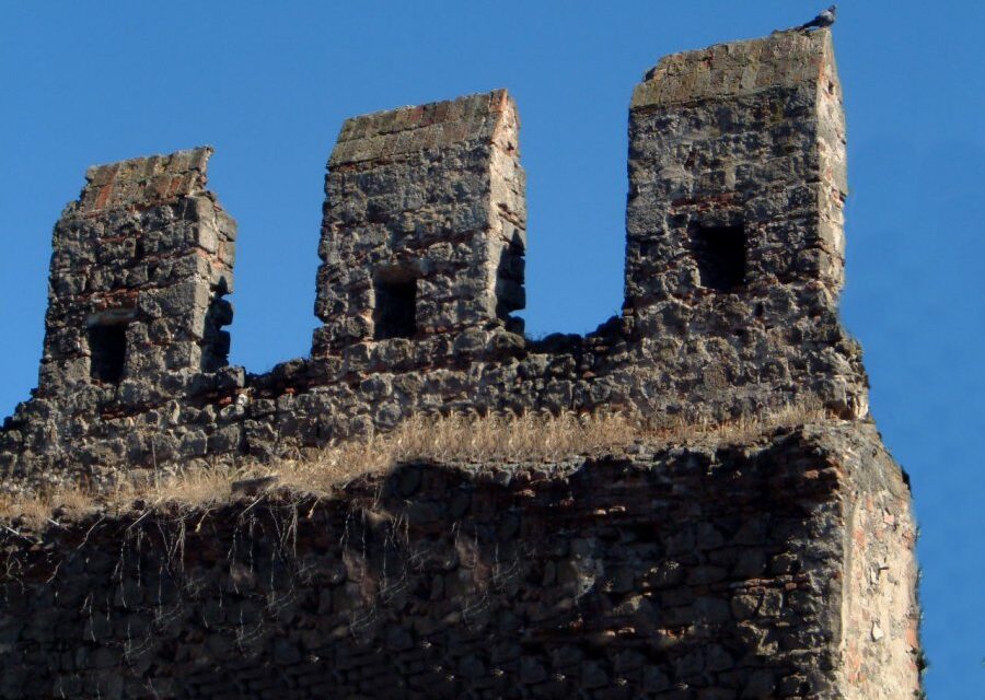 Come sentinelle sulle mura…“La costituzione cristiana degli stati” di Miguel Ayuso