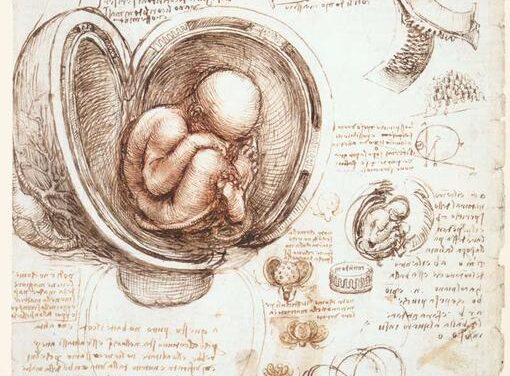 Lettera a un bambino mai nato