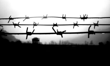 L’onda lunga dell’antinegazionismo