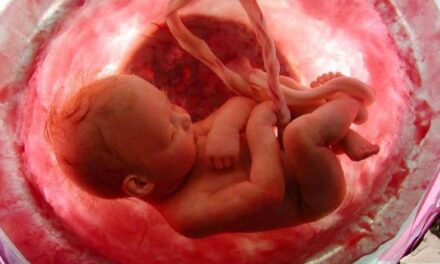 Perché non si può essere pro life e pro 194