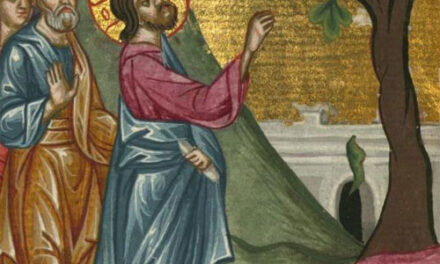 Gesù, il fico maledetto ed il «cane che torna al vomito»