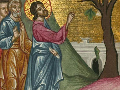 Gesù, il fico maledetto ed il «cane che torna al vomito»