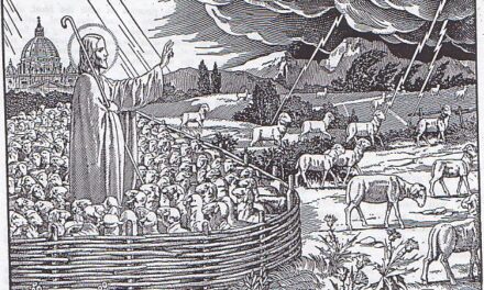 [IMMAGINE STUPENDA (18)] L’ovile cattolico