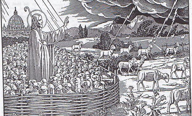 [IMMAGINE STUPENDA (18)] L’ovile cattolico