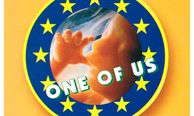 La secca bocciatura di “ Uno di Noi“ : la tristezza di essere facili profeti