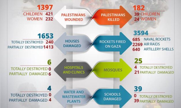 [DA VEDERE] Gaza under attack: infografica