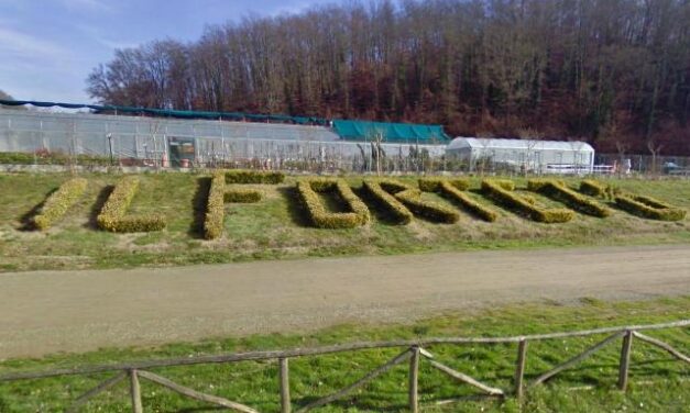 Il Forteto degli orrori: una petizione