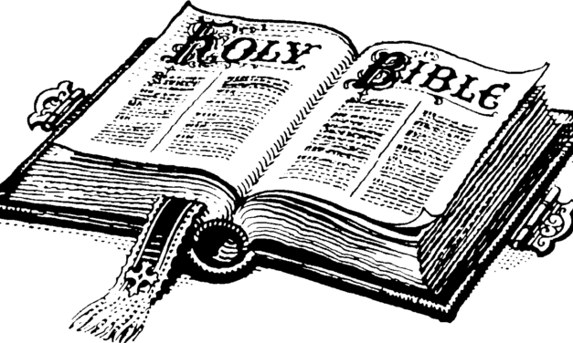 AAA interprete cercasi