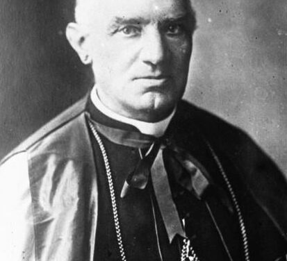 [GLORIE DEL CARDINALATO] Il Cardinale Gaetano De Lai