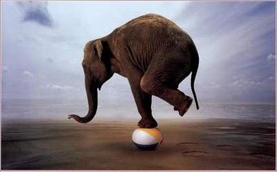 Dico-e-non-dico: equilibrismi dal Sinodo sul tema dei Sacramenti ai divorziati “risposati”