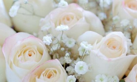 “Omosessuali cattolici”: la testimonianza di Alberto