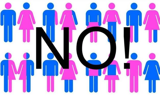 ‘W l’amore’. Ecco il modello Emilia-Romagna per la rieducazione dei bambini al gender.