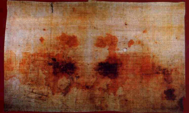 [Speciale Sindone] La Sindone e il Sudario di Oviedo si confermano a vicenda: ecco perché