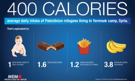 [MEDIO ORIENTE] Hamas tra l’incudine e il martello (l’ISIS)