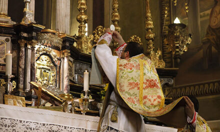 60 ragioni (dalla Diocesi di Campos) per evitare il Novus Ordo