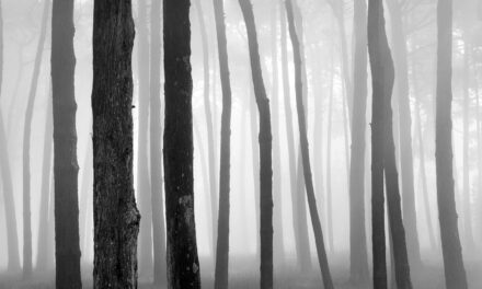 Un’ombra nel paese delle fate: “Gli alberi dell’orgoglio” di G. K. Chesterton