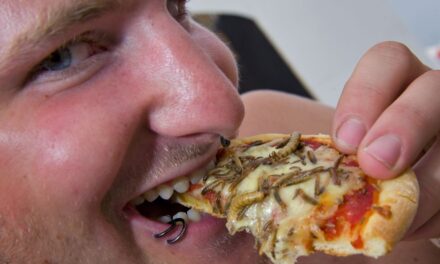 Gli insetti e la speranza