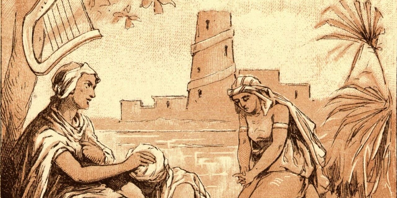 Una recensione a ‘Le cetre e i salici’ di Mattia Rossi