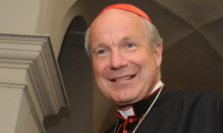 SINODO: verso la ‘vittoria’ di Schönborn? Ecco le relazioni rilevanti dei ‘circoli’