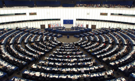 Parlamento UE: no utero in affitto