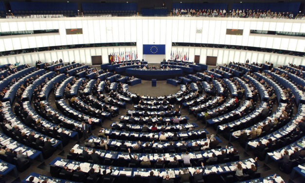 Parlamento UE: no utero in affitto
