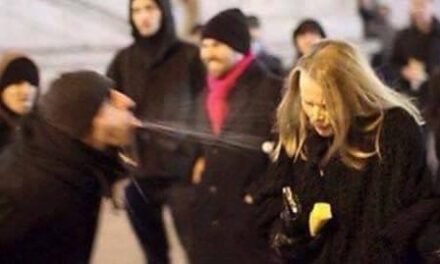 I responsabili del suicidio europeo