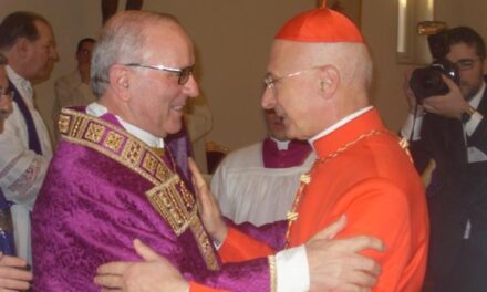 La morbida opposizione vaticana al Cirinnà