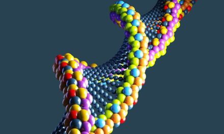 Gran Bretagna, sì alla manipolazione genetica degli esseri umani