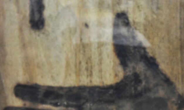 [CHI MORRA’, VEDRA’] Le anime del Purgatorio ci proteggono