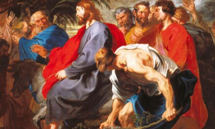 [MATTIA ROSSI] La Domenica delle Palme