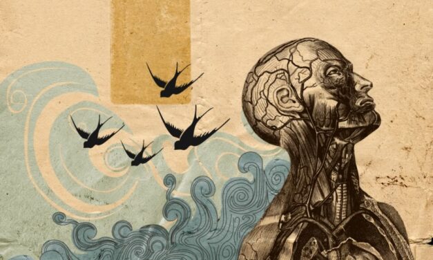 Darwinismo e Dottrina Cattolica