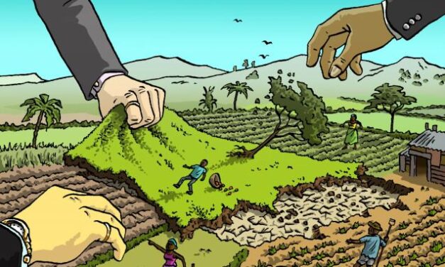 Il Land Grabbing ed il saccheggio dei diritti umani