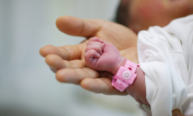 Elogio della madre, il cui lavoro è la famiglia