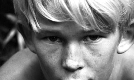 L’ombra delle mosche: recensione di Paolo Gulisano