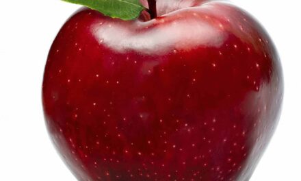 La pazzia di un mondo alla rovescia