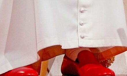 [TESTO E VIDEO] Ratzinger parla chiaramente di Bergoglio, fugando ogni dubbio.