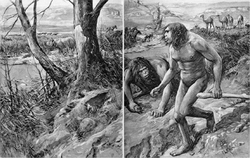 Nebraska Man. Celebrato scientificamente anche come Hesperopithecus haroldcookii (dal nome del suo scopritore Harold Cook). Doveva essere l'anello di congiunzione. Il reperto cui faceva riferimento era un singolo dente, che poi si scoprì essere stato perso da un suino.