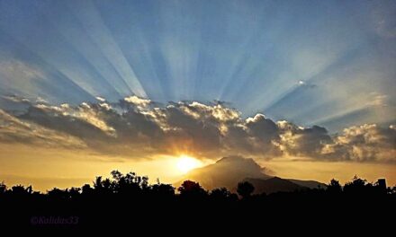 Volgiamo lo sguardo all’Assunta, ove s’ascondono i Beni Celesti