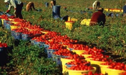 Cristiani perseguitati in Puglia: “Ci nascondiamo per pregare”