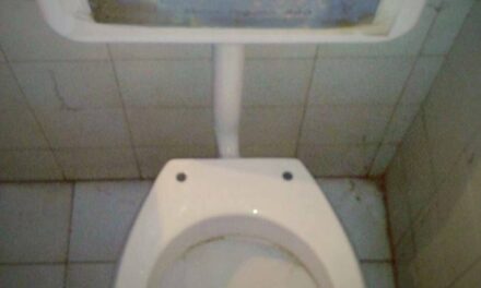 La massoneria voterà SI al referendum costituzionale