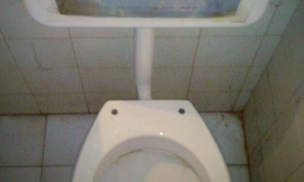 La massoneria voterà SI al referendum costituzionale