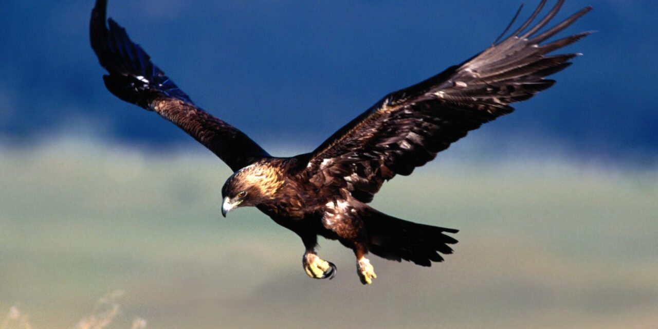 Le virtù morali soprannaturali